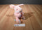 Bath and Body Works Pink Pig Jointed Beanbag Plush