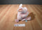 Bath and Body Works Pink Pig Jointed Beanbag Plush
