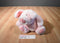 24K Polar Puff Portia the Pink Pig 1993 Beanbag Push