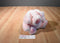 24K Polar Puff Portia the Pink Pig 1993 Beanbag Push
