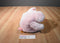 24K Polar Puff Portia the Pink Pig 1993 Beanbag Push