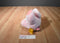 24K Polar Puff Portia the Pink Pig 1993 Beanbag Push