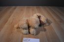 Ty Classic Goldwyn Golden Retriever Puppy Dog 2009 Beanbag Plush