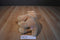 Ty Classic Goldwyn Golden Retriever Puppy Dog 2009 Beanbag Plush