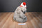 Target Dayton-Hudson Kris Mutt Dog 1987 Plush