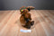 Build a Bear Hal the Brown Moose With Xmas Lights 2010 Plush