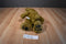 Build a Bear Bearemy Bear 1997 Plush