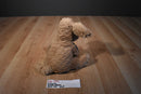 Jellycat Fuddlewuddle Tan Dog Beanbag Plush