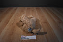 Jellycat Fuddlewuddle Tan Dog Beanbag Plush
