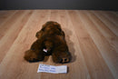 Ty Classic Baby Paws Maple Brown Bear 1996 Plush