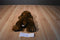 Ty Classic Baby Paws Maple Brown Bear 1996 Plush
