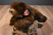 Ty Classic Baby Paws Maple Brown Bear 1996 Plush