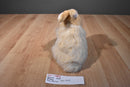 Aurora Miyoni Tan Angora Bunny Rabbit 2018 Beanbag lush