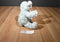 Green Lamb Sheep Squeaky Toy Plush