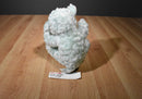 Green Lamb Sheep Squeaky Toy Plush