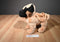 Animal Adventure Pug Dog 2013 Purse Bag Plush