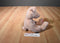 Russ Pigmallion Pink Pig Beanbag Plush