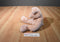 Russ Pigmallion Pink Pig Beanbag Plush