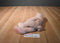 Russ Pigmallion Pink Pig Beanbag Plush