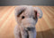 Russ Pigmallion Pink Pig Beanbag Plush