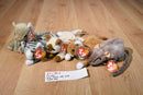 Ty Beanie Babies 4 Cats Scat Prance Nip Snip 1 Mouse Tiptoe Plush