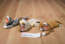 Ty Beanie Babies 4 Cats Scat Prance Nip Snip 1 Mouse Tiptoe Plush