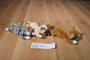 Ty Beanie Babies 4 Cats Scat Prance Nip Snip 1 Mouse Tiptoe Plush