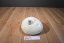 Kelly Toy Squishmallow Sophie the Beige and White Lamb 2018 Plush
