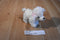 Aurora Mini White Poodle Beanbag Plush with Pink Bows