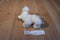 Aurora Mini White Poodle Beanbag Plush with Pink Bows