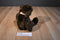 Ty Classic Crockett the Brown Teddy Bear 2003 Beanbag Plush