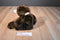 Ty Classic Crockett the Brown Teddy Bear 2003 Beanbag Plush