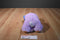 Walmart Spark Create Imagine Purple and Orange Chick Rattle Plush