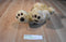 Build a Bear Beige Curly Teddy Bear Beanbag Plush
