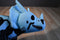 Adventure Planet Skeledons Blue Triceratops Plush