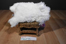 Aurora Super Flopsies Maddy Pink and White Fat Shih Tzu Beanbag Plush OF 1800