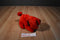 Scholastic Side Kicks Clifford the Big Red Dog 1997 Plush