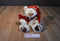 First & Main Jethro Bear Beanbag Plush With a Candy Cane