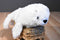Wildlife Artists White Harp Seal Pup 2012 Beanbag Plush