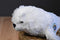 Wildlife Artists White Harp Seal Pup 2012 Beanbag Plush