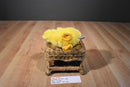 Wildlife Artists Farm Critters Yellow Chick 2016 Plush