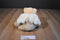 Ty Classic Gloria Gold Angel Bear 2003 Beanbag Plush