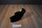 A & A Fancy Zoo Black Bear Beanbag Plush