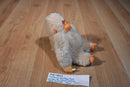 California Stuffed Toys Gilroy the Beige Gorilla Beanbag Plush
