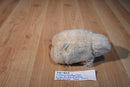 California Stuffed Toys Gilroy the Beige Gorilla Beanbag Plush