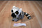 Aurora Miyoni Ring Tailed Lemur Beanbag Plush