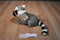 Aurora Miyoni Ring Tailed Lemur Beanbag Plush