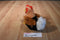 Hugfun Black, Brown, Red and White Chicken Plush
