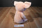 Kohl's Cares If You Give A Pig A Pancake Pig Plush