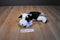 Mary Meyer Flip Flop Bessie Holstein Cow Beanbag Plush